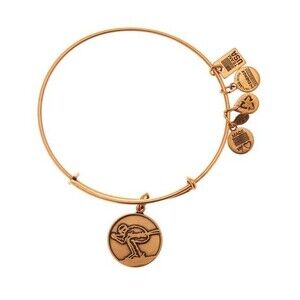 Alex Ani Team USA Skiing Charm Expandable Bangle Bracelet NEW Limited Edition
